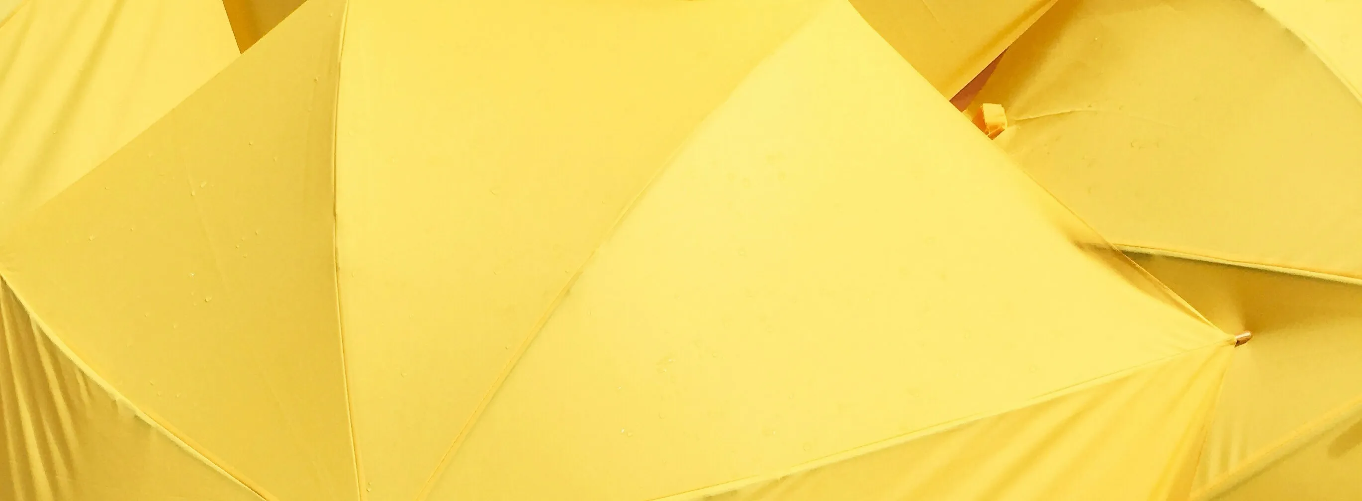 Yellow umbrellas